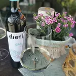 Winzer - Weingut Dietl Holiday home