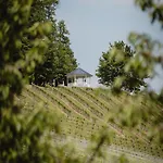 Winzer - Weingut Dietl * Riegersburg