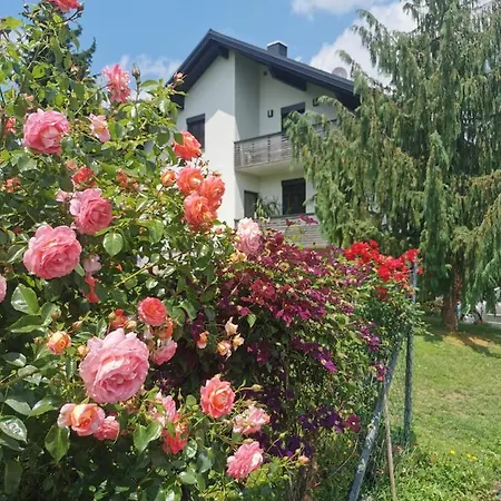 Winzer - Weingut Dietl 度假居 *