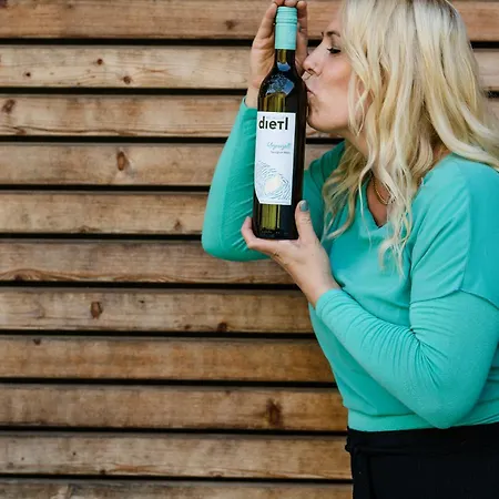 度假居 Winzer - Weingut Dietl *