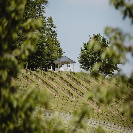 Winzer - Weingut Dietl * Riegersburg