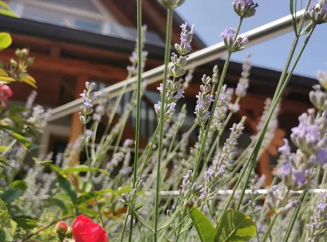 Winzer - Weingut Dietl Holiday home *