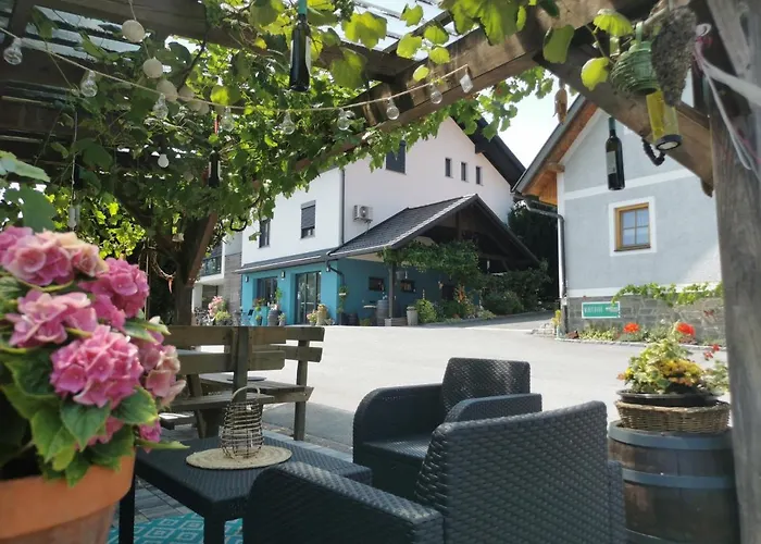 Winzer - Weingut Dietl Holiday home