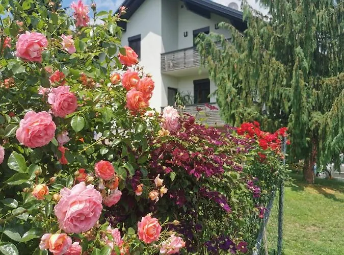 Winzer - Weingut Dietl Nyaraló *