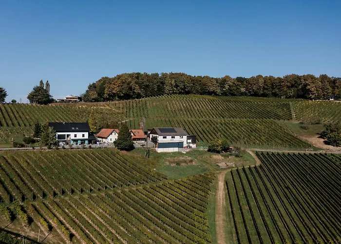 بيت للعطل Winzer - Weingut Dietl