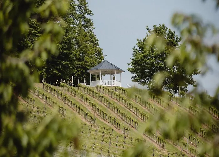 Winzer - Weingut Dietl * Riegersburg