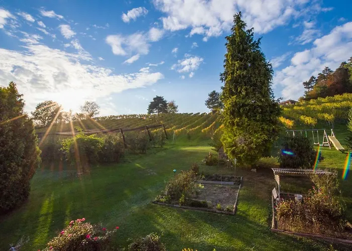 Winzer - Weingut Dietl Nyaraló