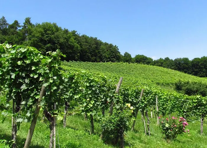 Winzer - Weingut Dietl *