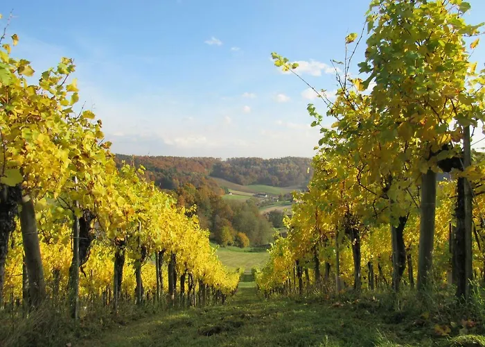 Winzer - Weingut Dietl